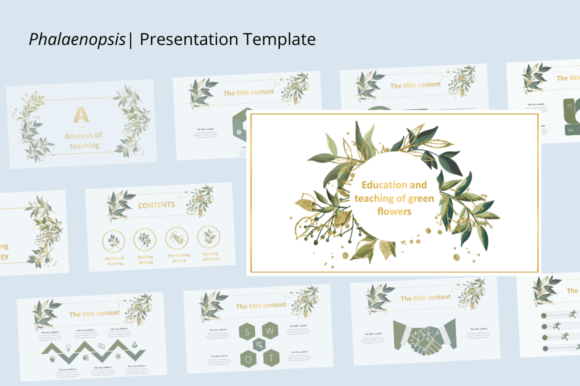Phalaenopsis: The Elegant Display Font for Modern Designers
